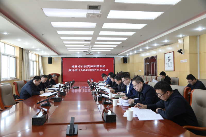 榆林市自然资源和规划局领导班子2024年度民主...