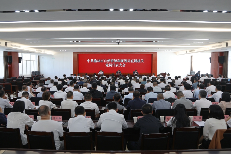 榆林市自然资源和规划局顺利完成直属机关党委...
