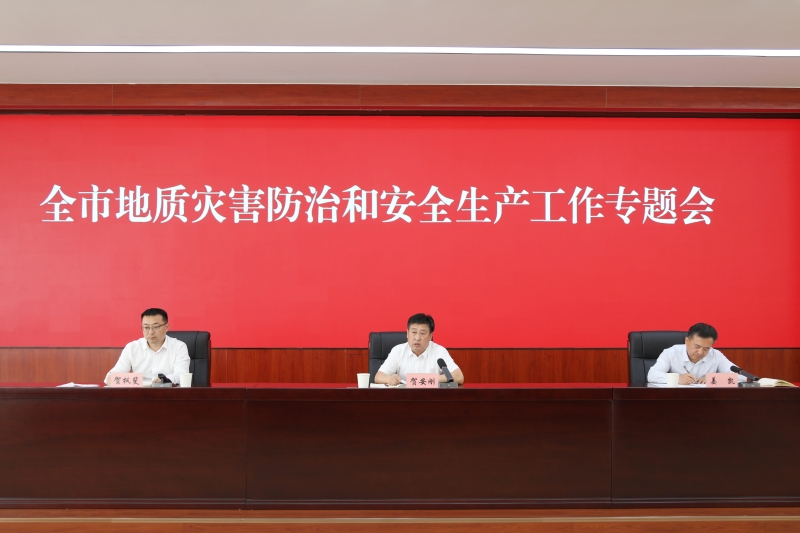 榆林市自然资源和规划局召开全市地质灾害防治...